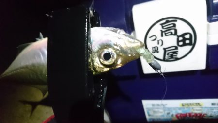 今夜もアジ！！