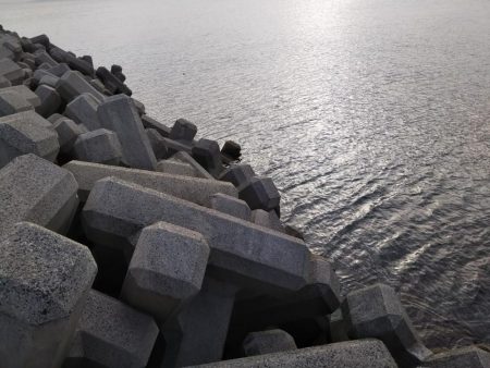 ロックフィッシュ狙い