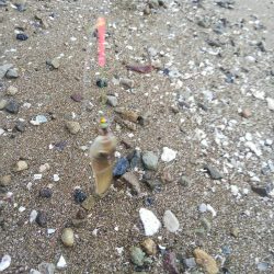 令和2年1月4日 室津で投げ釣り