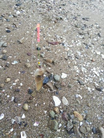 令和2年1月4日 室津で投げ釣り