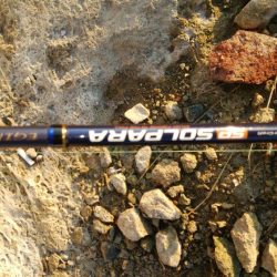 タチウオまだまだ釣れるぞ