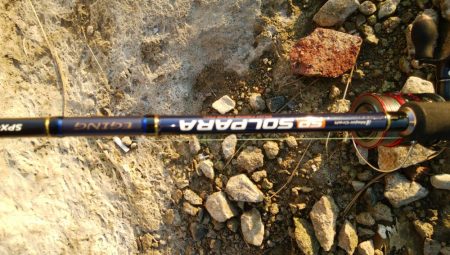 タチウオまだまだ釣れるぞ