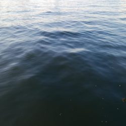 タチウオいつまで釣れる