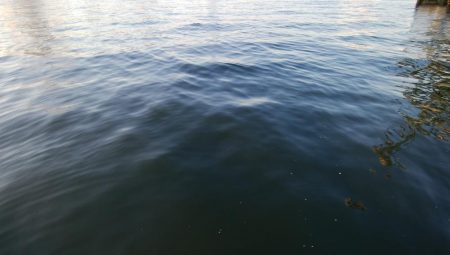 タチウオいつまで釣れる