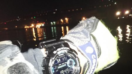 ぶらシーバス！！