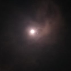 根魚御三家(・x・*)♪