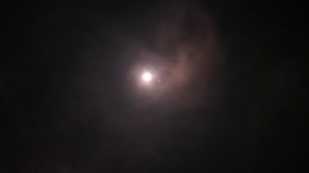 根魚御三家(・x・*)♪