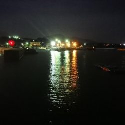 今年初メバリング