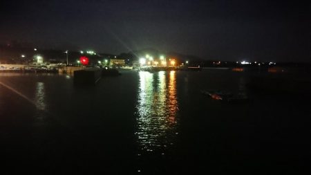 今年初メバリング