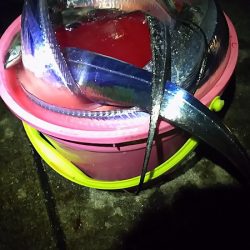 サイズもいいタチウオがよく釣れました。