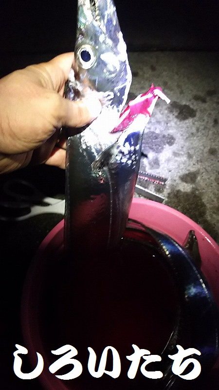 和歌山遠征。1月2回め。