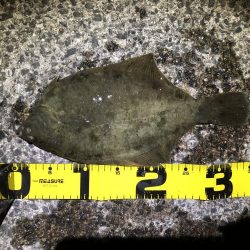 下げ潮のすごさ