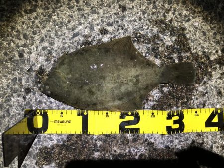 下げ潮のすごさ