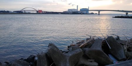 ヒラメゲット!!