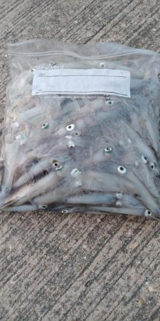 終盤デイヒイカ大爆発