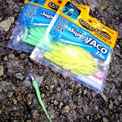 強風ジグ単アジング