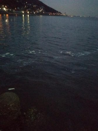 どうにかメバル