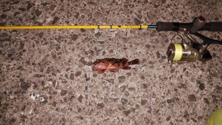 海洋調査　明石港