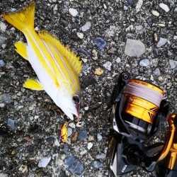 早朝から夕方まで1日仕事~