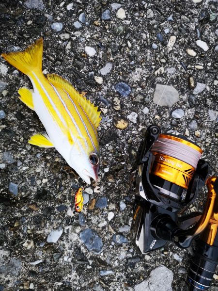 早朝から夕方まで1日仕事~