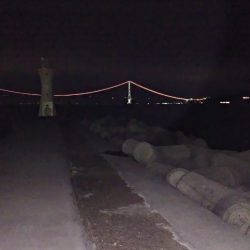 今夜はアジング