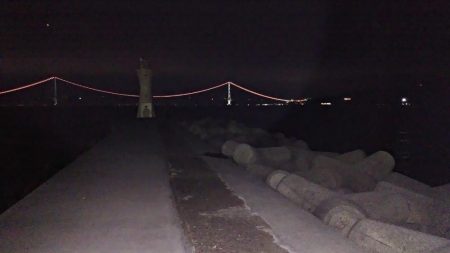 今夜はアジング