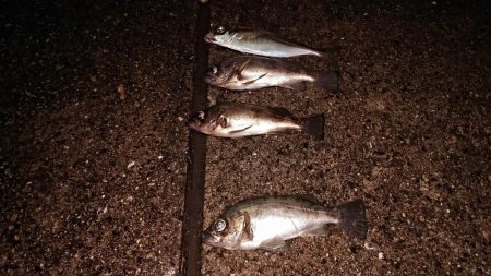 風が吹いてもメバリング