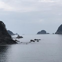 巨メバル狙いで