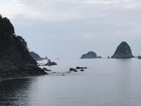 巨メバル狙いで