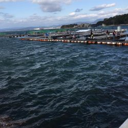 イサギ2匹（29㎝）、マダイ（26㎝）