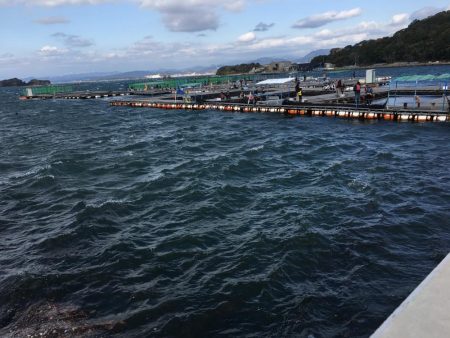 イサギ2匹（29㎝）、マダイ（26㎝）