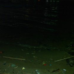 ライトショアジギング