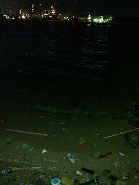 ライトショアジギング