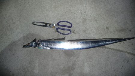 ドラゴンにワイヤー切られ；；