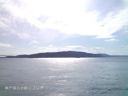 ジャンボサヨリ爆