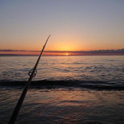 ようやく、新年初モノ・・・