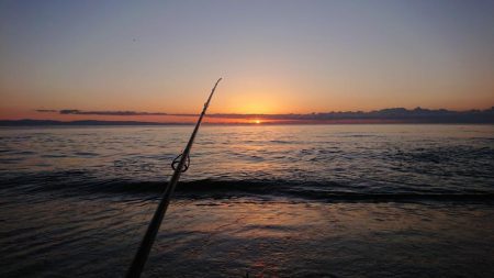 ようやく、新年初モノ・・・