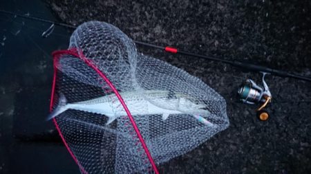 もう、春なんですね！