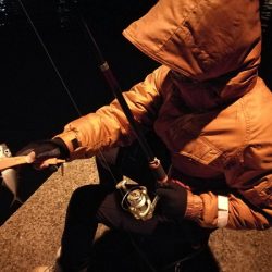 アジ狙いサビキ釣り