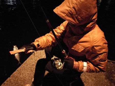 アジ狙いサビキ釣り