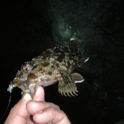 風裏ライトゲーム