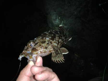 風裏ライトゲーム