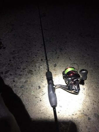 シブシブ メバリング