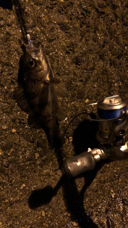 アタリはたくさんありました!