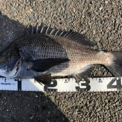 イチノ兄弟、釣果！