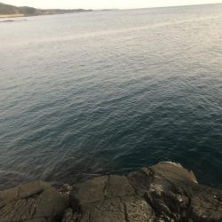 冬でも釣れたよ！