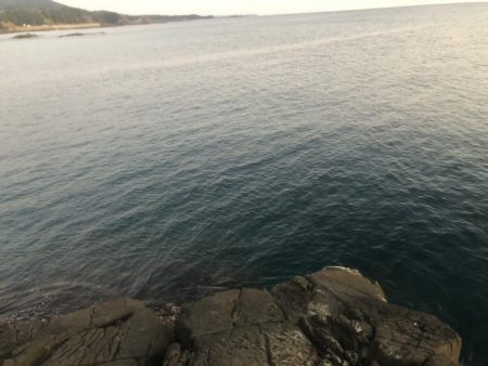 冬でも釣れたよ！