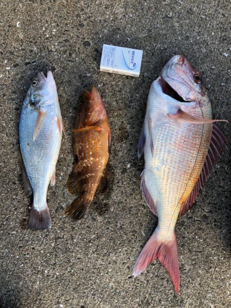 小型和船からのSLJ&タイラバ！ジ…