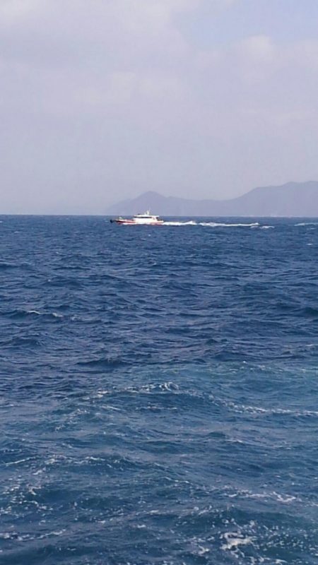 尾長グレとチヌ