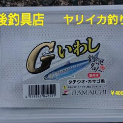 スーパーのアジで浮き釣り